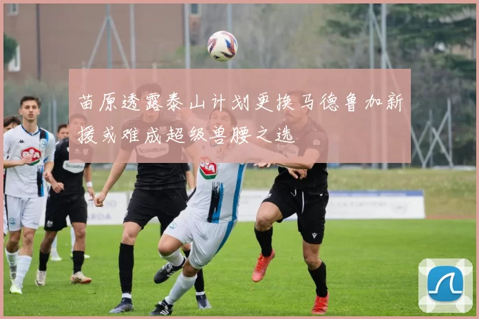 苗原透露泰山计划更换马德鲁加新援或难成超级兽腰之选